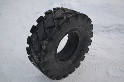 Черепаха (1)